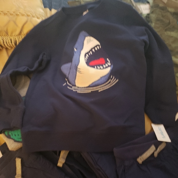 Carters Kids Boys Sz6 Camo Poplin pants/ Sweatshirt..Brought separately. Set$15 - Picture 10 of 11